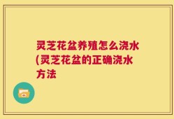 灵芝花盆养殖怎么浇水(灵芝花盆的正确浇水方法