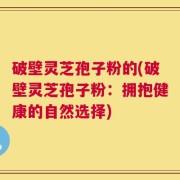 破壁灵芝孢子粉的(破壁灵芝孢子粉：拥抱健康的自然选择)