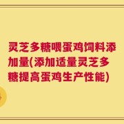 灵芝多糖喂蛋鸡饲料添加量(添加适量灵芝多糖提高蛋鸡生产性能)