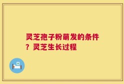 灵芝孢子粉萌发的条件？灵芝生长过程