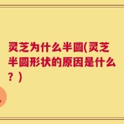 灵芝为什么半圆(灵芝半圆形状的原因是什么？)
