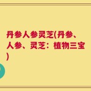 丹参人参灵芝(丹参、人参、灵芝：植物三宝)