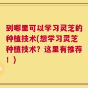 到哪里可以学习灵芝的种植技术(想学习灵芝种植技术？这里有推荐！)
