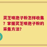 灵芝喷孢子粉怎样收集？掌握灵芝喷孢子粉的采集方法？
