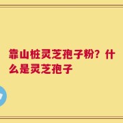 靠山桩灵芝孢子粉？什么是灵芝孢子