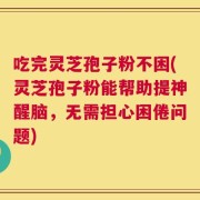 吃完灵芝孢子粉不困(灵芝孢子粉能帮助提神醒脑，无需担心困倦问题)