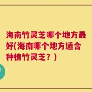 海南竹灵芝哪个地方最好(海南哪个地方适合种植竹灵芝？)