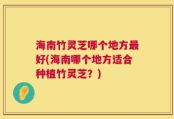 海南竹灵芝哪个地方最好(海南哪个地方适合种植竹灵芝？)