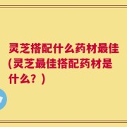 灵芝搭配什么药材最佳(灵芝最佳搭配药材是什么？)