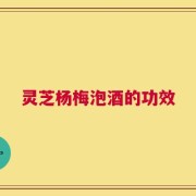 灵芝杨梅泡酒的功效