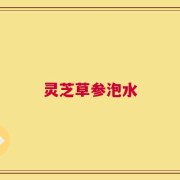 灵芝草参泡水