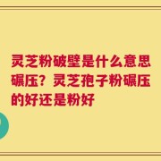 灵芝粉破壁是什么意思碾压？灵芝孢子粉碾压的好还是粉好