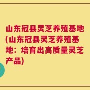山东冠县灵芝养殖基地(山东冠县灵芝养殖基地：培育出高质量灵芝产品)