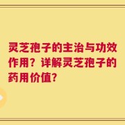 灵芝孢子的主治与功效作用？详解灵芝孢子的药用价值？