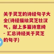 关于灵芝的诗经句子大全(诗经描绘灵芝壮汉气，献上多篇诗意绮 - 汇总诗经关于灵芝的句子)