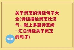 关于灵芝的诗经句子大全(诗经描绘灵芝壮汉气，献上多篇诗意绮 - 汇总诗经关于灵芝的句子)