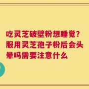 吃灵芝破壁粉想睡觉？服用灵芝孢子粉后会头晕吗需要注意什么