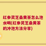 红参灵芝桑黄茶怎么泡水喝(红参灵芝桑黄茶的冲泡方法分享)