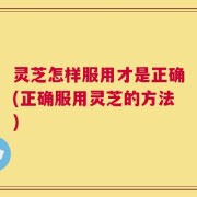 灵芝怎样服用才是正确(正确服用灵芝的方法)