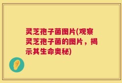 灵芝孢子菌图片(观察灵芝孢子菌的图片，揭示其生命奥秘)