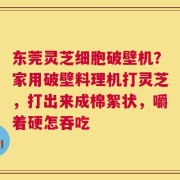东莞灵芝细胞破壁机？家用破壁料理机打灵芝，打出来成棉絮状，嚼着硬怎吞吃