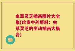 虫草灵芝插画图片大全集(珍贵中药原料：虫草灵芝的生动插画大集合)