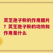 灵芝孢子粉的作用图片？灵芝孢子粉的功效和作用是什么