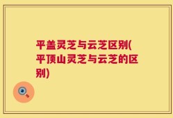平盖灵芝与云芝区别(平顶山灵芝与云芝的区别)