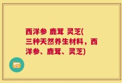 西洋参 鹿茸 灵芝(三种天然养生材料，西洋参、鹿茸、灵芝)