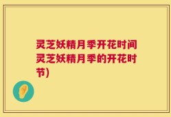 灵芝妖精月季开花时间灵芝妖精月季的开花时节)