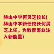 赫山中学何灵芝校长(赫山中学新任校长何灵芝上任，为教育事业注入新能量)