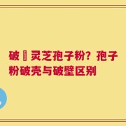 破礕灵芝孢子粉？孢子粉破壳与破壁区别