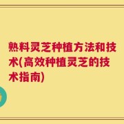 熟料灵芝种植方法和技术(高效种植灵芝的技术指南)