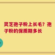 灵芝孢子粉上长毛？孢子粉的保质期多长