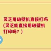 灵芝用破壁机直接打吗(灵芝能直接用破壁机打碎吗？)
