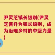尹灵芝镇长级别(尹灵芝晋升为镇长级别，成为治理乡村的中坚力量)