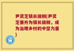 尹灵芝镇长级别(尹灵芝晋升为镇长级别，成为治理乡村的中坚力量)