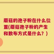 蘑菇的孢子粉在什么位置(蘑菇孢子粉的产生和散布方式是什么？)
