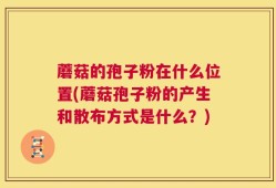 蘑菇的孢子粉在什么位置(蘑菇孢子粉的产生和散布方式是什么？)