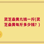 灵芝桑黄几钱一斤(灵芝桑黄每斤多少钱？)