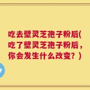 吃去壁灵芝孢子粉后(吃了壁灵芝孢子粉后，你会发生什么改变？)