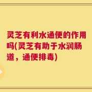 灵芝有利水通便的作用吗(灵芝有助于水润肠道，通便排毒)