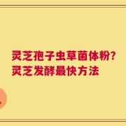 灵芝孢子虫草菌体粉？灵芝发酵最快方法