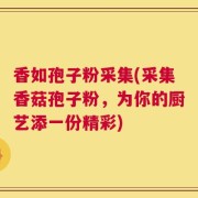 香如孢子粉采集(采集香菇孢子粉，为你的厨艺添一份精彩)