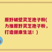 原野破壁灵芝孢子粉(力推原野灵芝孢子粉，打造健康生活！)