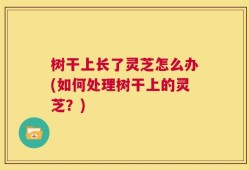 树干上长了灵芝怎么办(如何处理树干上的灵芝？)