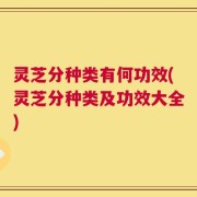灵芝分种类有何功效(灵芝分种类及功效大全)