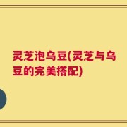 灵芝泡乌豆(灵芝与乌豆的完美搭配)