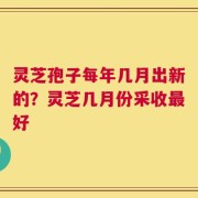 灵芝孢子每年几月出新的？灵芝几月份采收最好