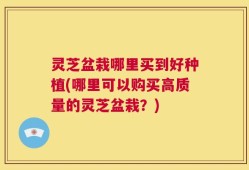 灵芝盆栽哪里买到好种植(哪里可以购买高质量的灵芝盆栽？)